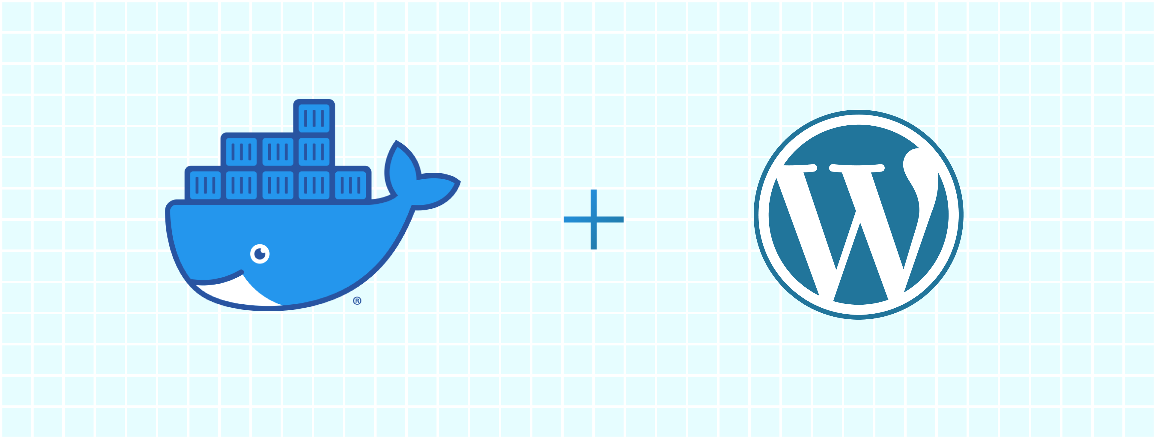 Docker + Wordpress